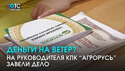 От инвесторов ушли, а от следствия - не получится: на руководителя КПК “Агрорусь” завели дело