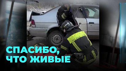 Два брата на дороге: Lexus и Toyota встретились в ДТП