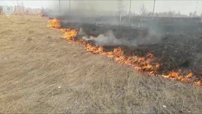 Сколько административных дел уже возбудили в отношении нарушителей противопожарного режима?