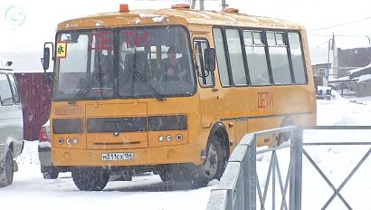 Как организована перевозка детей в сельской местности?