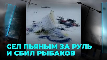 Колония вместо исправительных работ: сбивший рыбаков лихач может получить реальный срок