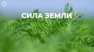 Программа "СИЛА ЗЕМЛИ" | 22 сентября 2023 | Телеканал ОТС