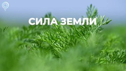 Программа "СИЛА ЗЕМЛИ" | 22 сентября 2023 | Телеканал ОТС