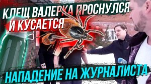 Укусил клещ! Что делать? / Избила журналиста / Выставка «Свой дом» | Стрим ОТС LIVE — 26 апреля