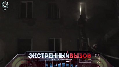 Экстренный вызов: 29 ноября 2018