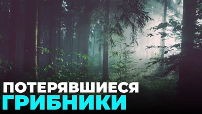 Звонки от потерявшихся грибников стали чаще поступать в "Службу 112"