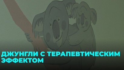 Тигры, обезьяны и бабочки появились в детском отделении облбольницы