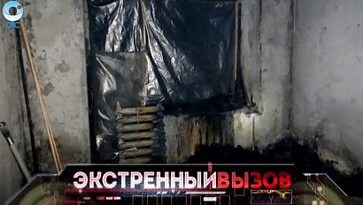 Экстренный вызов: 27 января 2016