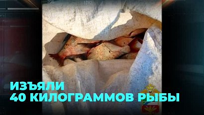 Больше 40 килограммов незаконно добытой рыбы изъяли у вероятного браконьера