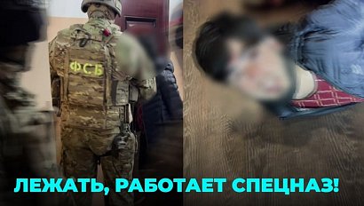 Они финансировали боевиков в Сирии: силовики уложили их лицом в пол