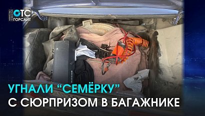 Инспекторы раскрыли угон “семёрки”, которая оказалась с “сюрпризом”