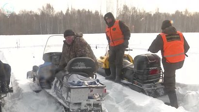 В Новосибирской области идёт учёт диких животных. Какова статистика?