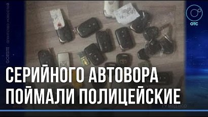 Специализировался по дорогим иномаркам: автовора отправили в СИЗО