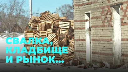 Новосибирцы рассказали обо всех ужасах жизни в Ленинском районе