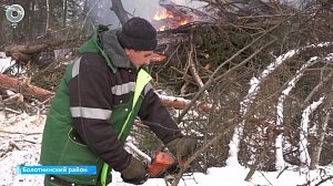 Зачем в лесах Болотнинского района рубят деревья и разводят костры?