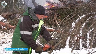 Зачем в лесах Болотнинского района рубят деревья и разводят костры?