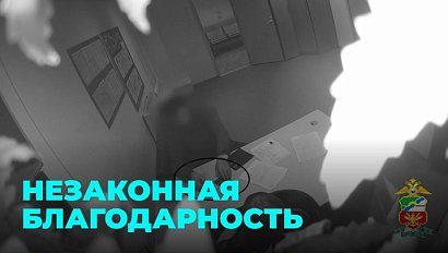 Незаконная благодарность: иностранец попытался подкупить сотрудницу аэропорта