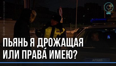 Катались "под мухой"... 69 нарушителей поймали дорожные полицейские за выходные