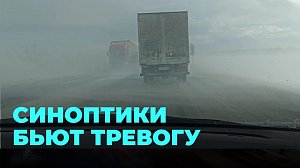 Мороз и снег в Новосибирске: как выжить на дорогах?