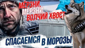 Как мороз влияет на здоровье? / Когда заводиться не стоило? | Стрим ОТС LIVE — 14 декабря