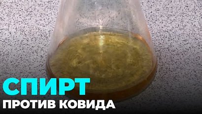 Новые препараты против коронавируса разрабатывают в Новосибирске