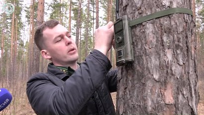 Как лесники готовятся к опасному сезону и какая техника приходит им на помощь?