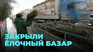 У хозяина ёлочного базара изъяли больше сотни деревьев