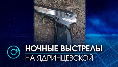 Ночных стрелков задержали сотрудники ДПС в Новосибирске