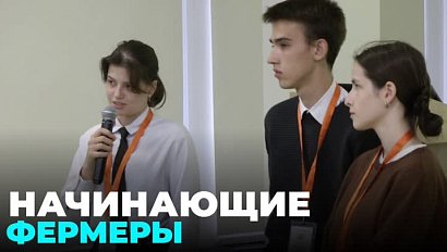 «Начинающий фермер»: бизнес-игра для школьников и студентов