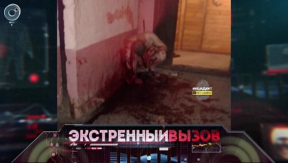 Экстренный вызов: 11 июля 2017