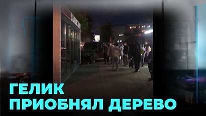 Шокирующий маневр: внедорожник врезался в дерево на глазах у пешеходов