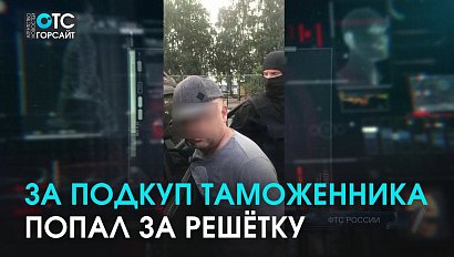 За взятку таможеннику пойдёт под суд уроженец Киргизии