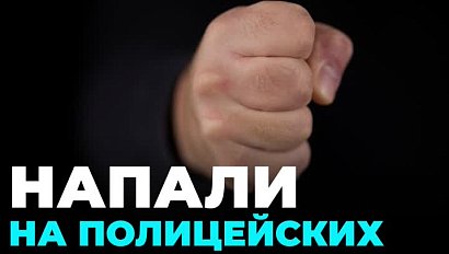 Двух жителей Татарского района приговорили за нападение на сотрудников полиции