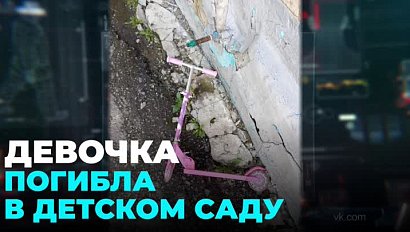 Пятилетняя девочка погибла во время прогулки в детском саду в Новосибирске