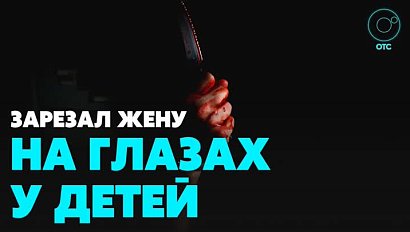 Новосибирец убил жену на глазах у детей