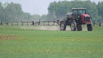 Режим ЧС вводят в Новосибирской области