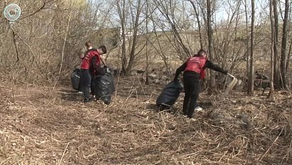 Первомайский субботник провели новосибирские депутаты