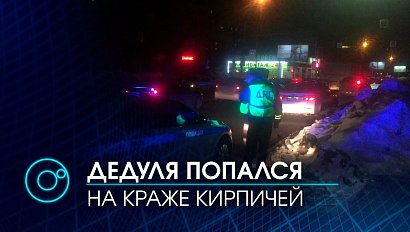 Пенсионер пытался украсть поддон кирпичей на собственной легковушке | Телеканал ОТС