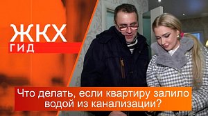 Что делать, если квартиру залило водой из канализации? | Гид ЖКХ – 12 марта 2024