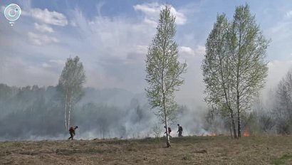 Особый противопожарный режим продлили в Новосибирской области