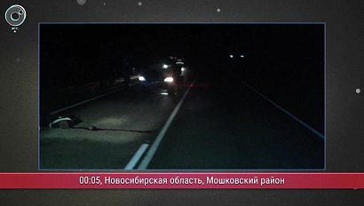 Программа "ДПС: Дорога. Перекресток. Судьба": 23 октября 2017