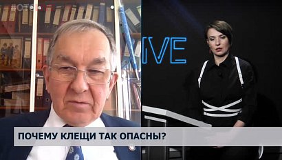 Почему клещи так опасны?