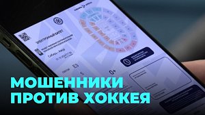 Новосибирская семья попалась на уловку мошенников при покупке хоккейных билетов