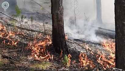 МЧС предупредило об аномально жаркой погоде в Новосибирской области