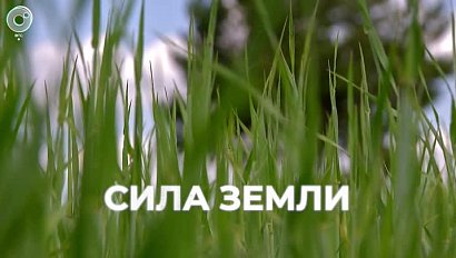 Программа "СИЛА ЗЕМЛИ" | 30 июня 2023 | Телеканал ОТС