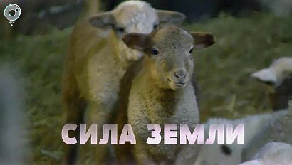 Программа "СИЛА ЗЕМЛИ" | 26 марта 2021 | Телеканал ОТС