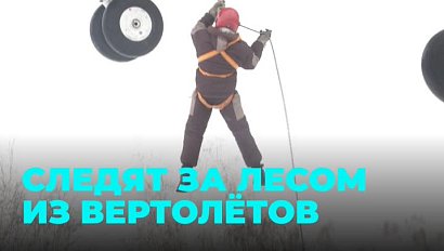 С высоты виднее: зачем спасатели десантируются из вертолёта возле леса